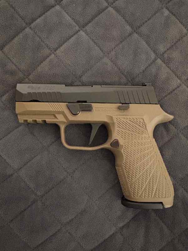 Sig 320 carry