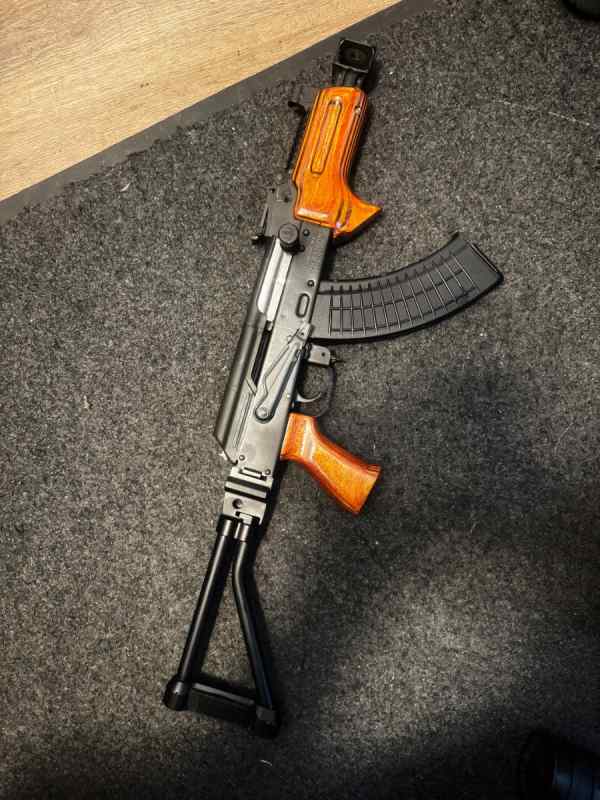 Romanian Mini Draco