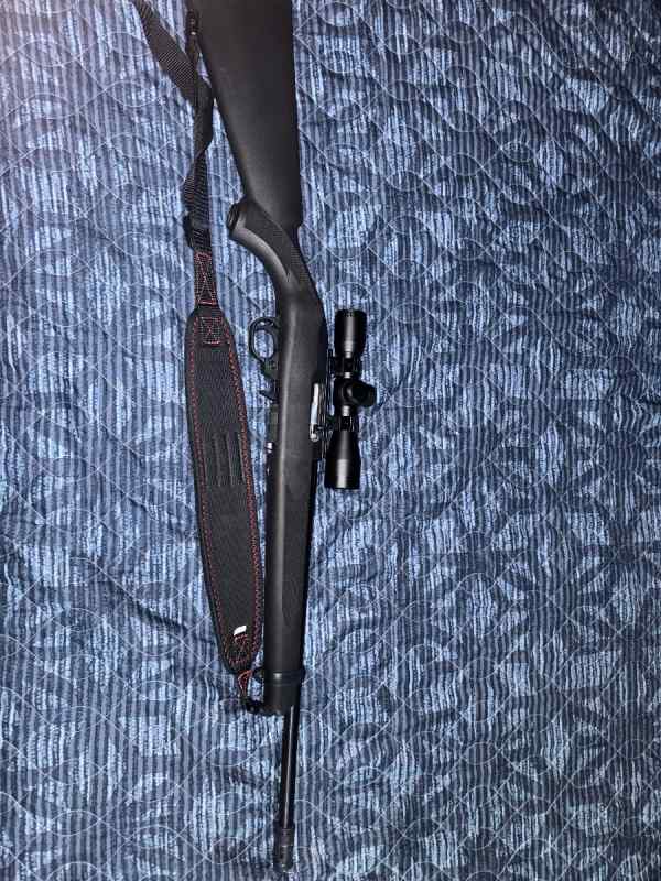 Ruger 10/22